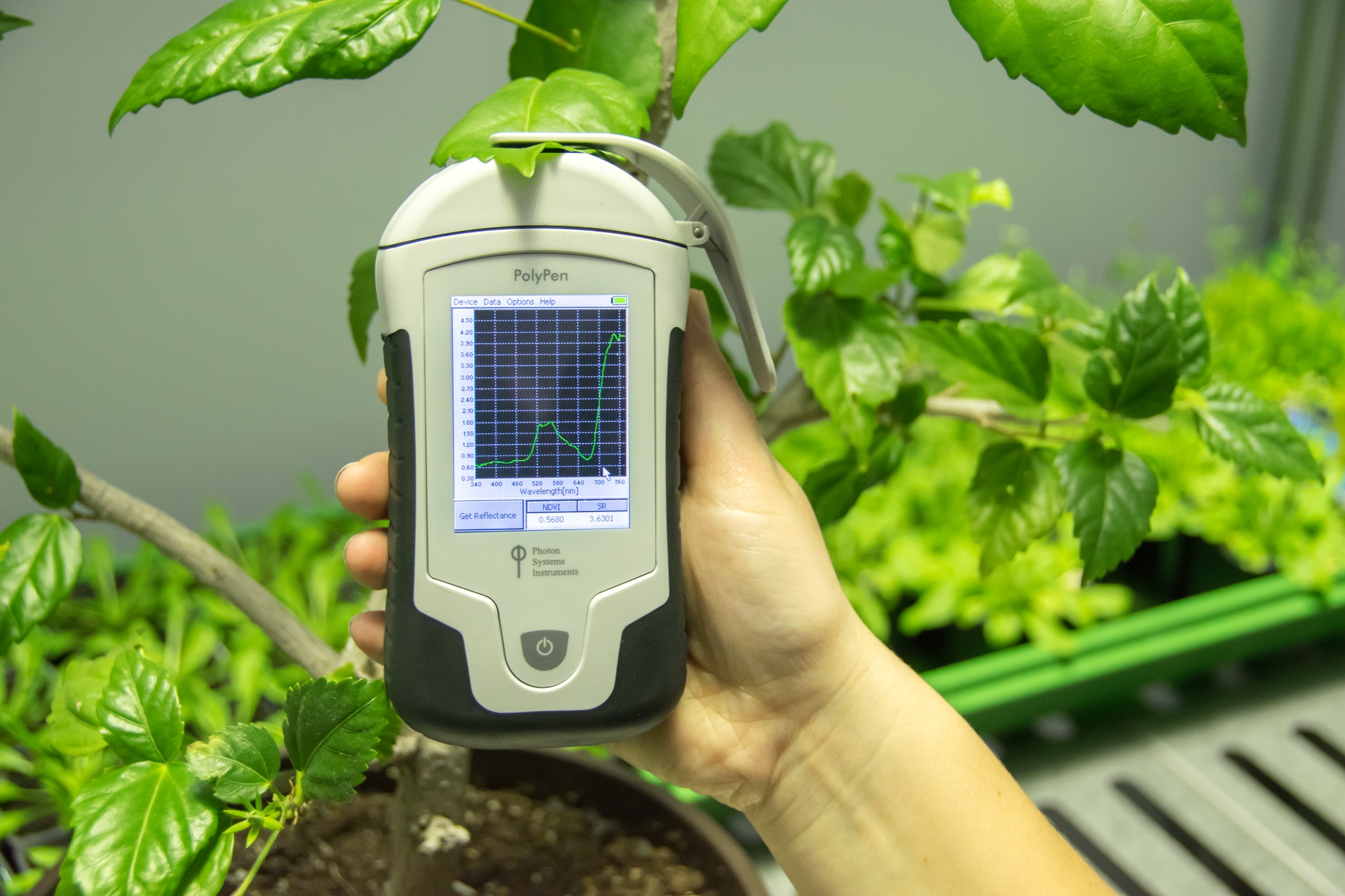 PolyPen RP 410 NIR手持式植物叶片光谱仪